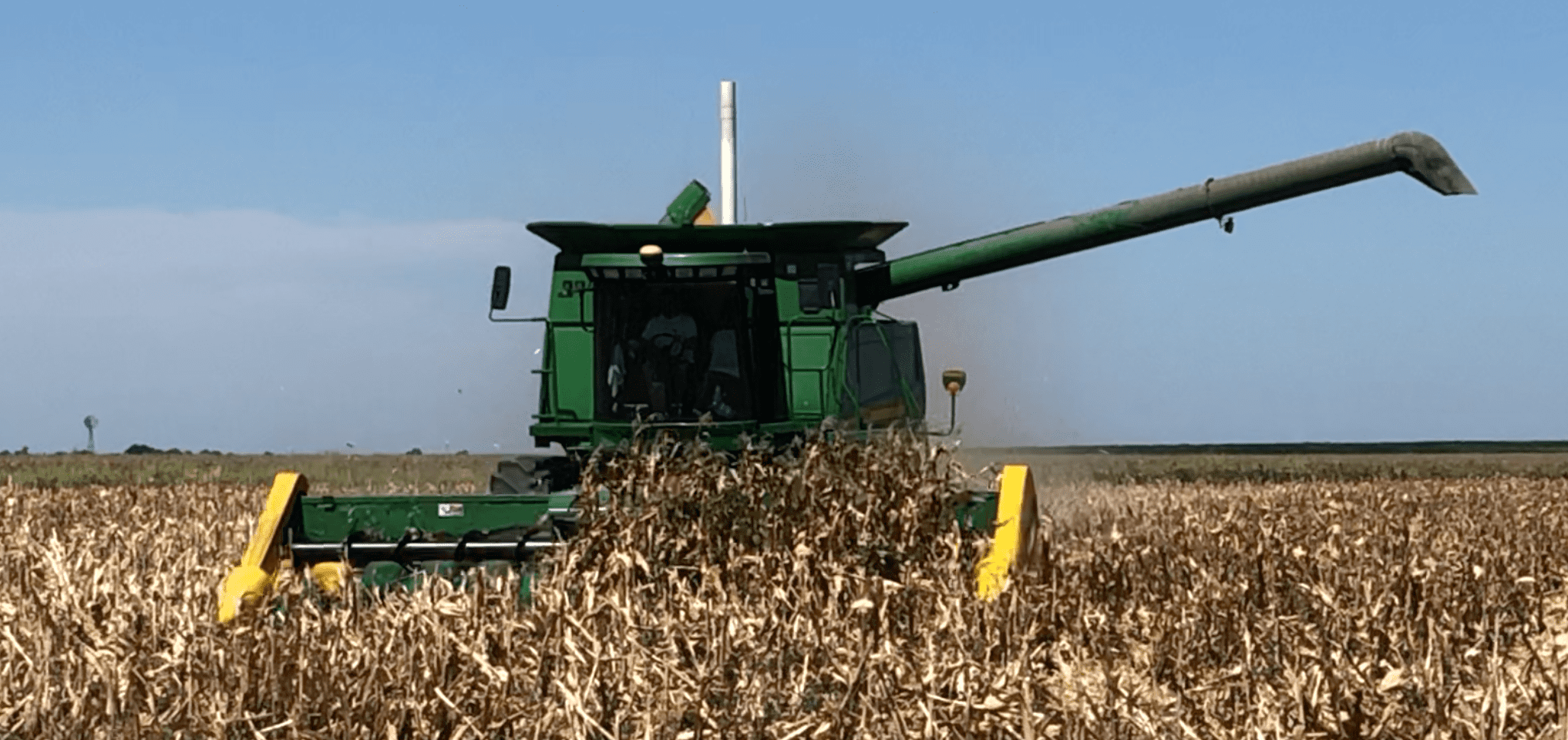 Cosecha de maíz: Recomendaciones para aumentar la eficiencia